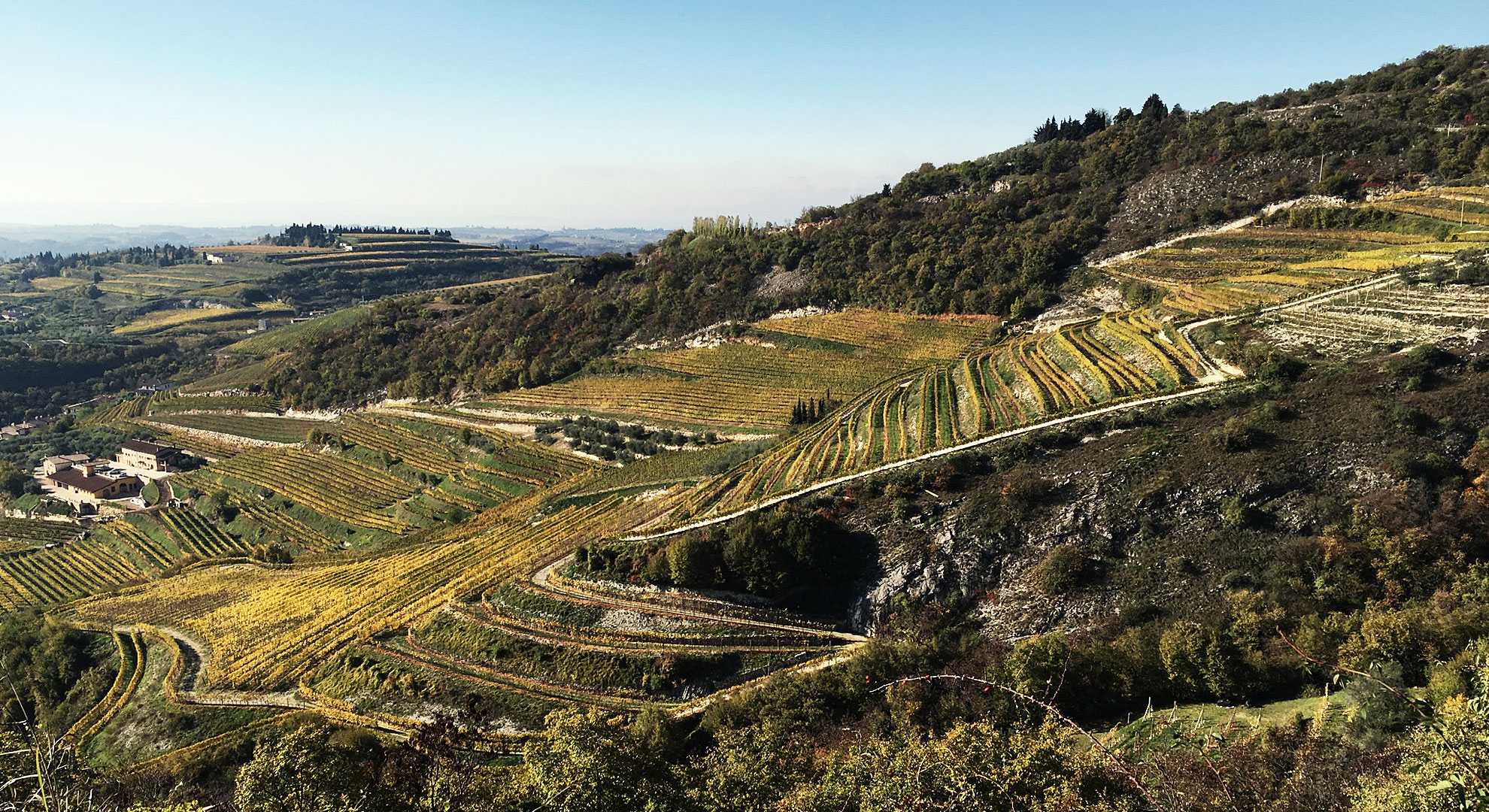 Valpolicella vineyards